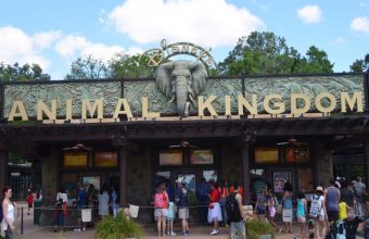 Disney Animal Kingdom