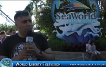 Seaworld  Orlando Florida,Dolphin Sea lion & Whales Show-2018